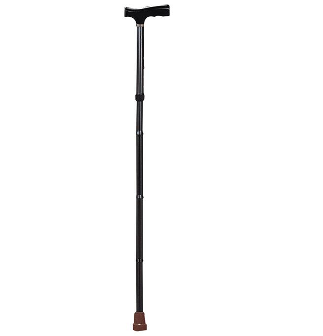 Walking Stick